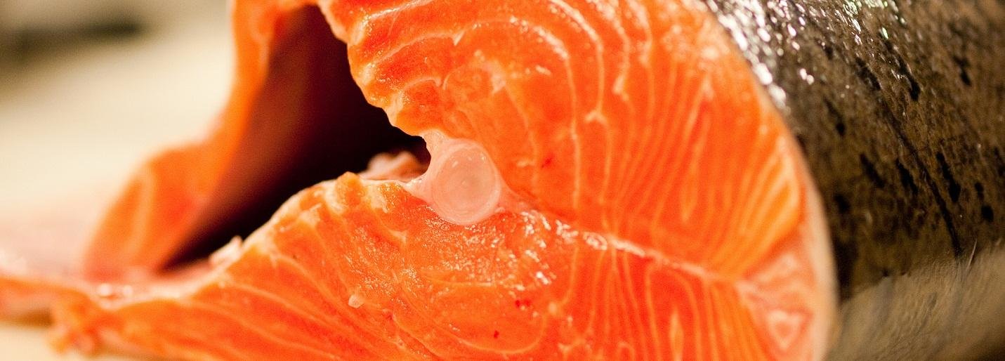 На Камчатке браконьеры начали охоту на краснокнижную семгу